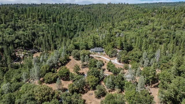 17050 Rams Horn Grade, Volcano, CA 95689