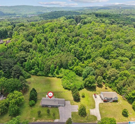 233 VILLAGE SPRINGS ROAD, Springville, AL 35146