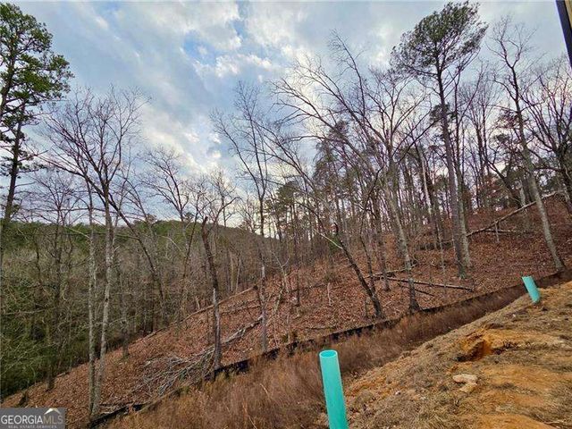 124 Waterview Court, Waleska, GA 30183