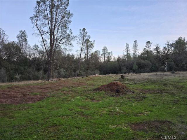 174 Hope Lane, Oroville, CA 95966