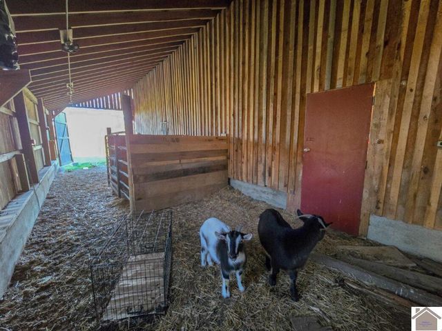 420 Curd Cemetery Rd, Dexter, KY 42036