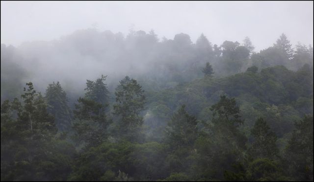 645 Skyward Drive, Aptos, CA 95003