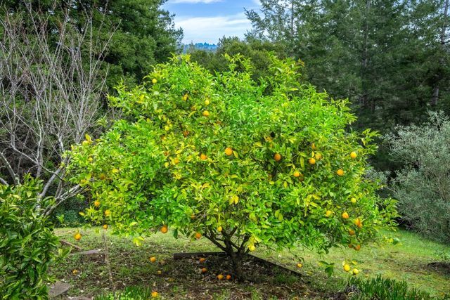 645 Skyward Drive, Aptos, CA 95003