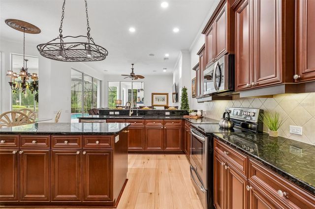 21105 LAKE VIENNA DRIVE, Land O Lakes, FL 34638