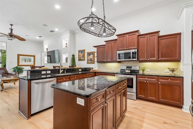 21105 LAKE VIENNA DRIVE, Land O Lakes, FL 34638
