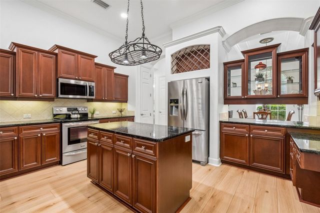 21105 LAKE VIENNA DRIVE, Land O Lakes, FL 34638