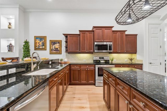 21105 LAKE VIENNA DRIVE, Land O Lakes, FL 34638