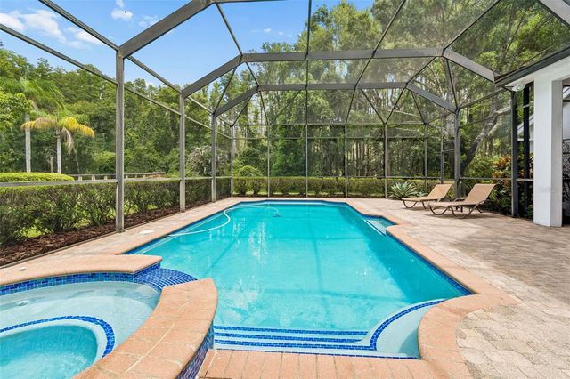 21105 LAKE VIENNA DRIVE, Land O Lakes, FL 34638