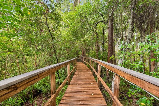 21105 LAKE VIENNA DRIVE, Land O Lakes, FL 34638