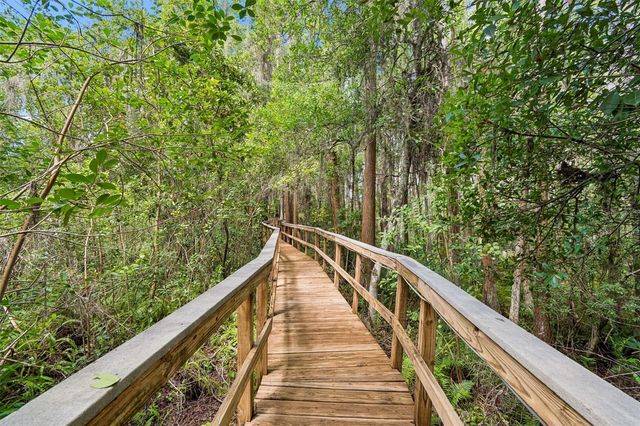 21105 LAKE VIENNA DRIVE, Land O Lakes, FL 34638