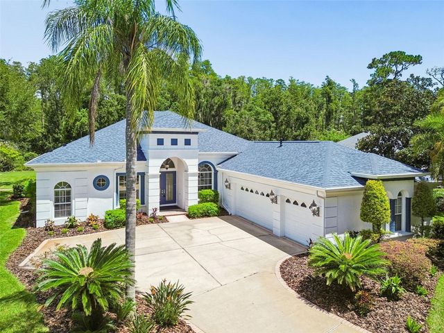 21105 LAKE VIENNA DRIVE, Land O Lakes, FL 34638