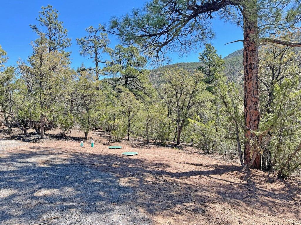 Image 4 of property listing at 0 Raptor Road, Jemez Springs, NM 87025