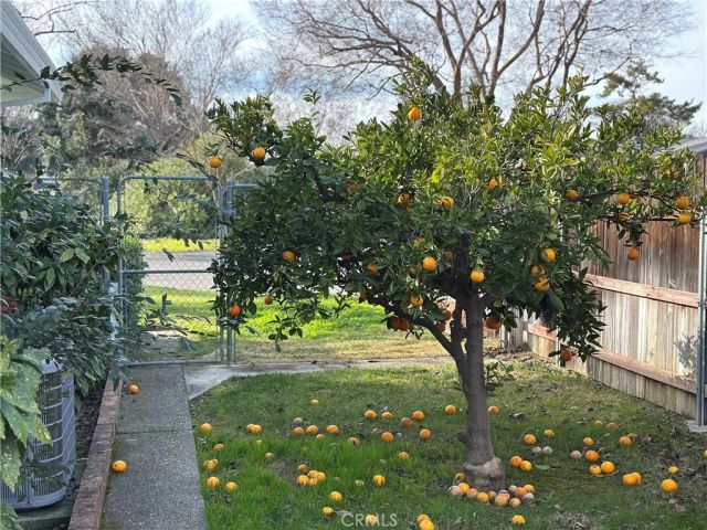 630 Jefferson Street, Willows, CA 95988