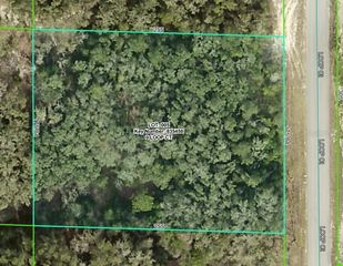 0 LOOP COURT, Webster, FL 33597