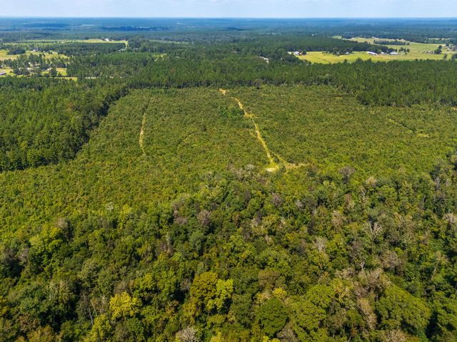 0 Paul McMillian Rd, Deridder, LA 70634