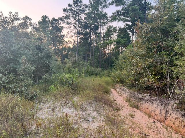 0 Paul McMillian Rd, Deridder, LA 70634