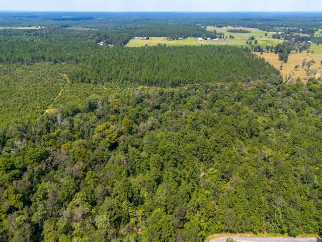 0 Paul McMillian Rd, Deridder, LA 70634