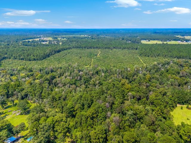 0 Paul McMillian Rd, Deridder, LA 70634