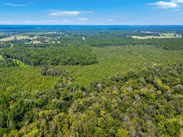 0 Paul McMillian Rd, Deridder, LA 70634