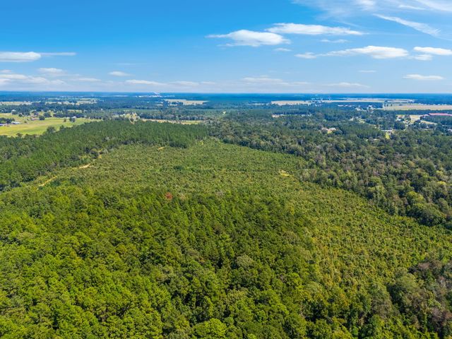 0 Paul McMillian Rd, Deridder, LA 70634