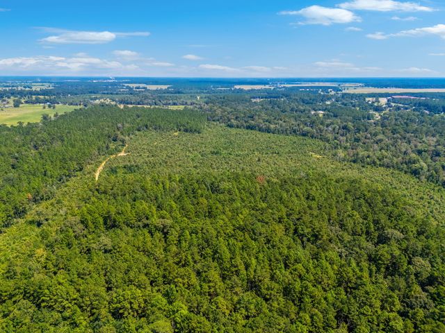 0 Paul McMillian Rd, Deridder, LA 70634