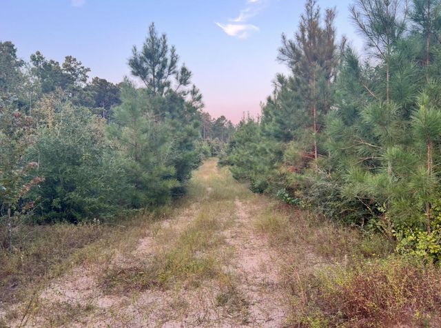 0 Paul McMillian Rd, Deridder, LA 70634