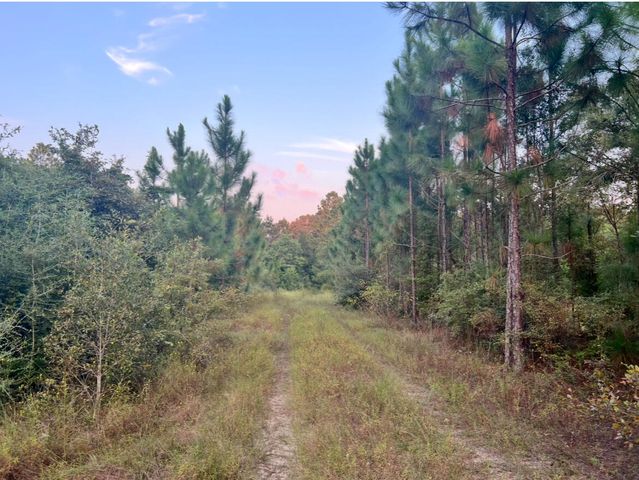 0 Paul McMillian Rd, Deridder, LA 70634