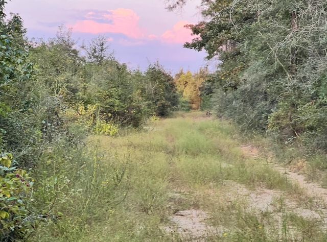 0 Paul McMillian Rd, Deridder, LA 70634