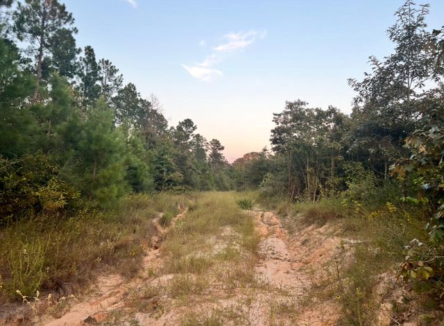 0 Paul McMillian Rd, Deridder, LA 70634