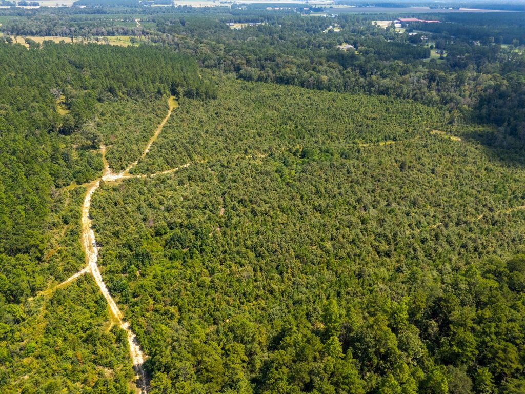 0 Paul McMillian Rd, Deridder, LA 70634