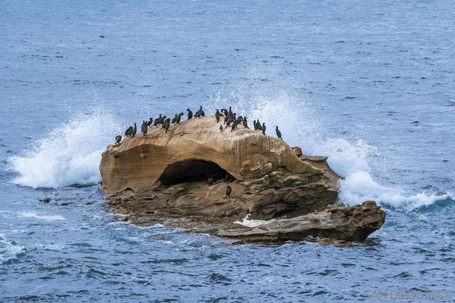 5716 Dolphin Pl, La Jolla, CA 92037