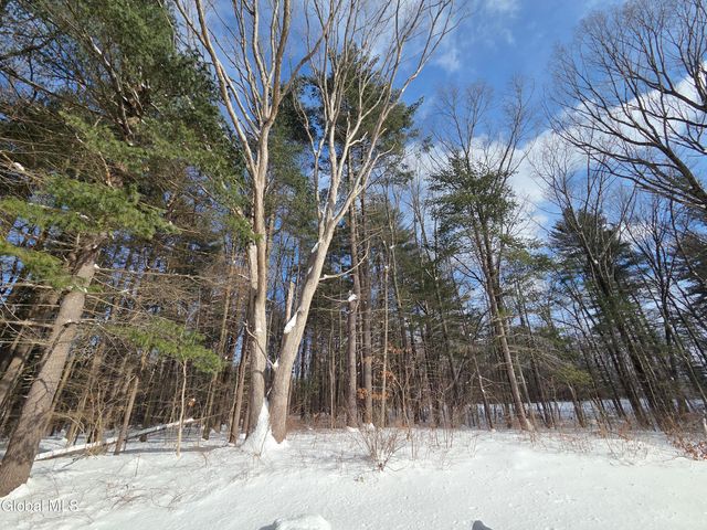 7 Woodridge Circle, Halfmoon, NY 12065