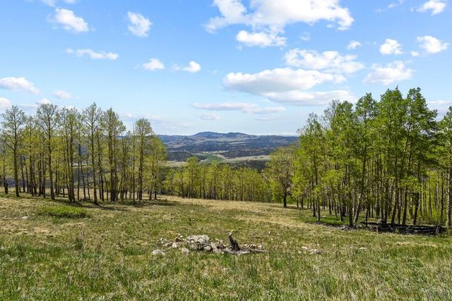 2017 County Road 1 RD, Cripple Creek, CO 80813