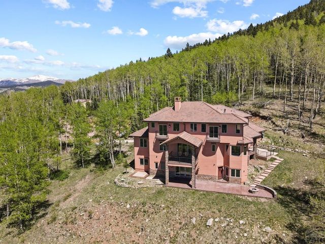 2017 County Road 1 RD, Cripple Creek, CO 80813