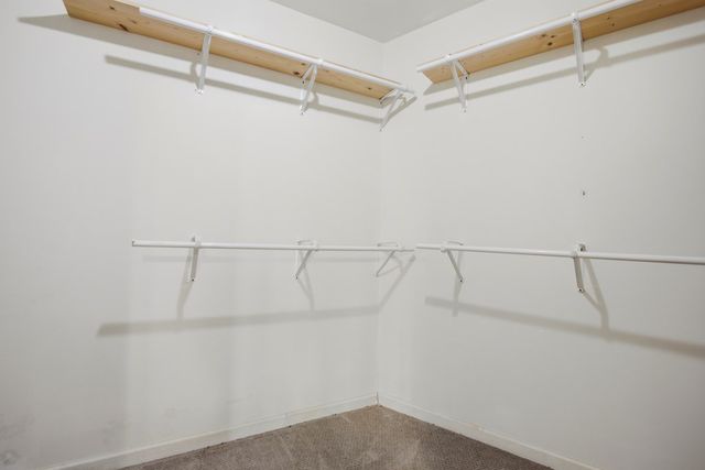 1466 Newport, Ellijay, GA 30540