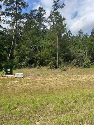 16229 Ridge Oak Road, Willis, TX 77378