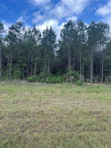 16229 Ridge Oak Road, Willis, TX 77378