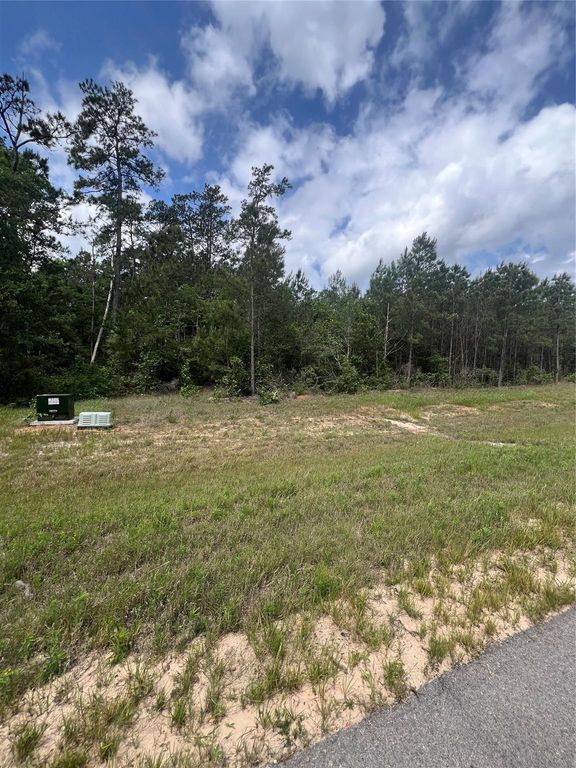 16229 Ridge Oak Road, Willis, TX 77378