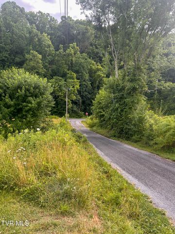 237 Kincheloe Road 237, Church Hill, TN 37642