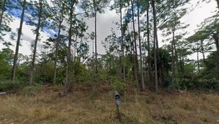 1210 Raphia Street E, Lehigh Acres, FL 33974