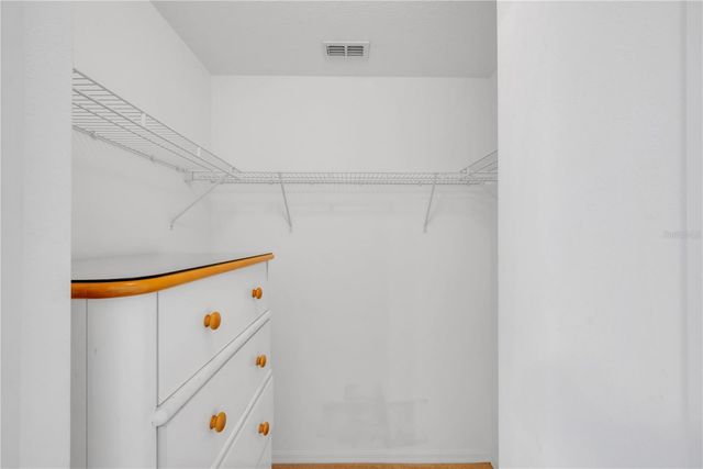 20408 NEEDLETREE DRIVE, Tampa, FL 33647