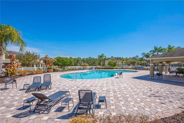 20408 NEEDLETREE DRIVE, Tampa, FL 33647