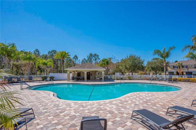 20408 NEEDLETREE DRIVE, Tampa, FL 33647