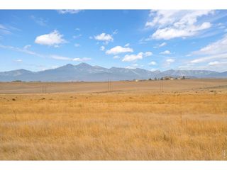 2 CR 84, Fort Collins, CO 80524