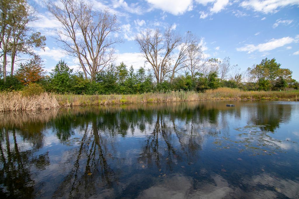6840 W Winding Trail 301, Oak Forest, IL 60452 — photo 5