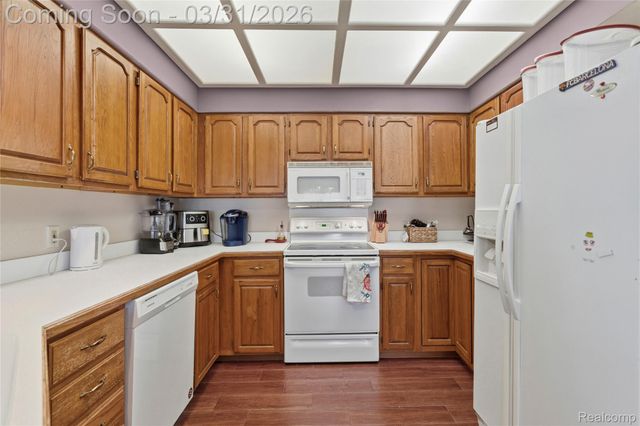 6361 Squire Lake Drive, Mt. Morris Township, MI 48433