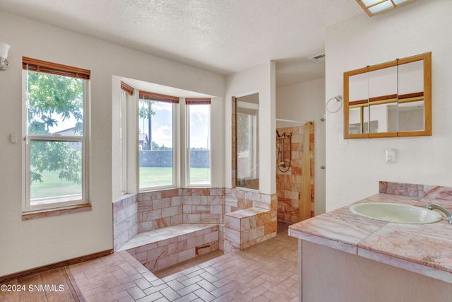 4208 Escondido Lane, Las Cruces, NM 88005