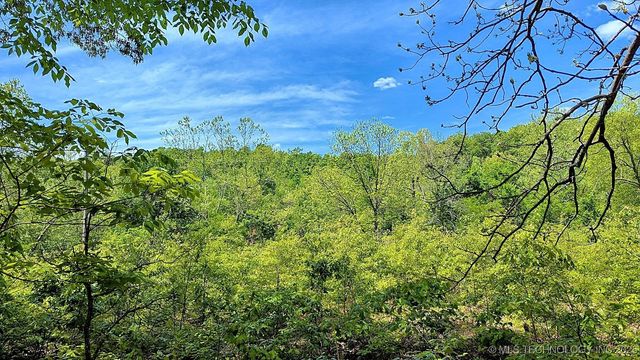 69000 S 4664 Road, Westville, OK 74965