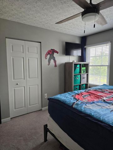 246 Weeping Willow Run Drive, Johnstown, OH 43031