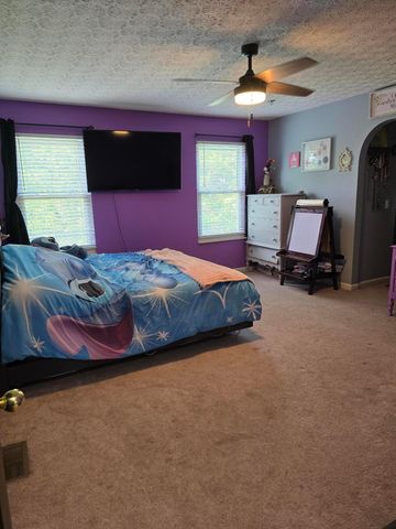 246 Weeping Willow Run Drive, Johnstown, OH 43031